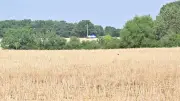 Affaire Jubillar : un tibia de Delphine identifié parmi les ossements