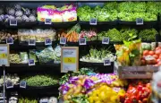 Alimentation durable : la 4CF consulte ses habitants