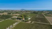 Balade des cépages au domaine Saint-André de Mèze le 17 octobre