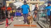 Béziers : des chiens guides à l'honneur, un centre en projet