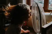 Canicule : adapter son logement, nos conseils par étapes