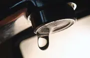 Chlorothalonil : le Thouarsais demande une dérogation de trois ans