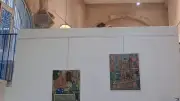 Cosmos : l'exposition-vente qui fait dialoguer art et infini à Pézenas
