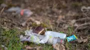 Dépôts sauvages à Verviers : une habitante risque une amende de 250 euros