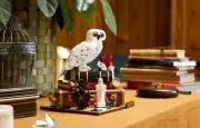Escape game Harry Potter à Étampes pour la Toussaint