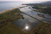 Fréjus : Villepey sauvée de l'urbanisation il y a 40 ans