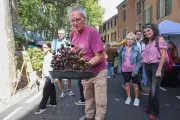 Fête de la châtaigne aux Mayons : plus de 1 200 visiteurs