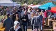 Fête de la châtaigne à Courry : 72 exposants attendus dimanche
