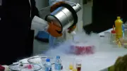 Fête de la science à Sète : ateliers et conférences sur l'alimentation