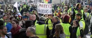 Gilets jaunes à Montpellier : trois figures se confient avant la manif