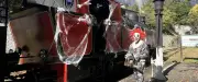 Halloween : le Train à vapeur des Cévennes fête la saison fin octobre