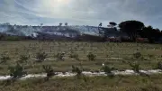 Incendie à Générac : impact sur les cultures du domaine Clarins