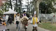 Journée animalière à Pont-Saint-Esprit au profit d'Équi-libre