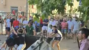 Le comité des fêtes de Sanilhac-Sagriès organise un revivre à la manade de la Clastre