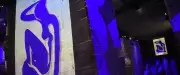 Matisse en immersion aux Carrières des lumières