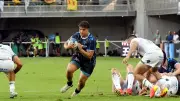 MHR-Bath : Montpellier revient en Coupe des Champions avec ambition