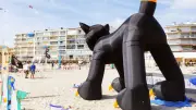 Montpellier : concerts, opéra et cerfs-volants au programme