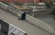 Nanterre : personnels du lycée Joliot-Curie dénoncent des violences policières