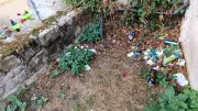 Nettoyage des berges du Lot à Mende pour la résilience