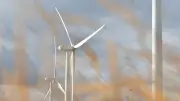 Éolien de Verrières : le Conseil d'État met fin au projet après quinze ans