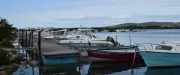 Port des Pauvres à Frontignan : les pêcheurs prêts à payer une redevance