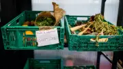 Précarité alimentaire : Claire, 59 ans, choisit entre manger et conduire