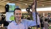 Reptiliades à Nîmes : le plus grand salon de terrariophilie de France