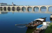 Saumur : la Loire reprend ses droits avec un vaste chantier de végétalisation