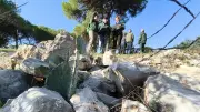 Sète : des tonnes de figuiers de Barbarie arrachés en forêt des Pierres Blanches