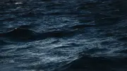 Suicides à Brighton : les trois sœurs se sont jetées à la mer