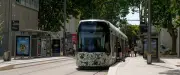 TaM renforce son réseau pour les événements du week-end à Montpellier