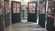 Tavel : le rose s'expose à la bibliothèque municipale