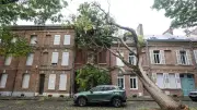 Tempête Austen : 242 000 foyers privés d'électricité, un mort