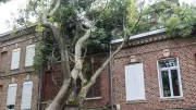 Tempête Austen : un mort, 288 000 foyers sans électricité, transports perturbés