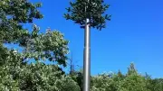 Tresques : antenne télécom, terrain communal retenu après refus