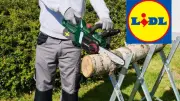 Tronçonneuse Parkside à 69,99 € chez Lidl pour préparer l'hiver