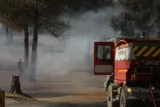 Un rongeur provoque un incendie et prive 200 foyers d'électricité