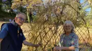 Vannerie en Lozère : une école pour transmettre et échanger avec l'Espagne