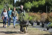 Vente de végétaux à Agricampus Hyères : conseils et promotions ce samedi